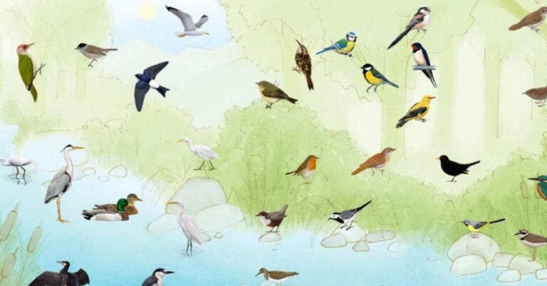 Amazing Bird Voice Technology