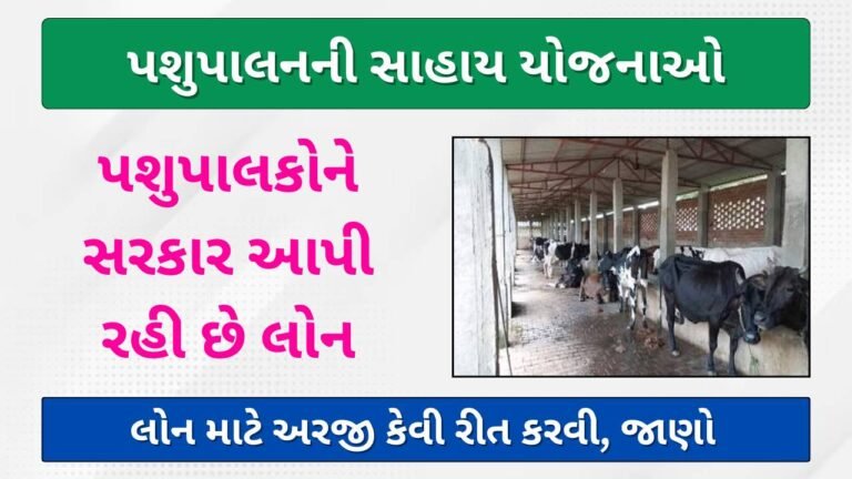 Pashupalan Loan Scheme