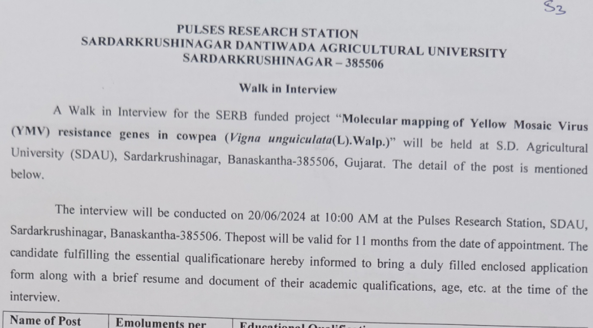 SDAU Recruitment 2024