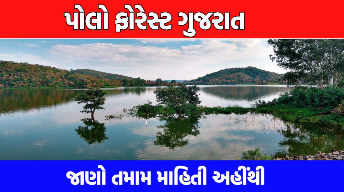 Polo Forest Gujarat