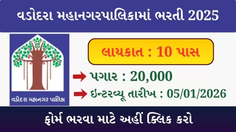 VMC Lifeguard Recruitment 2026